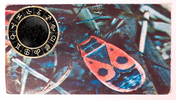 гороскоп июня