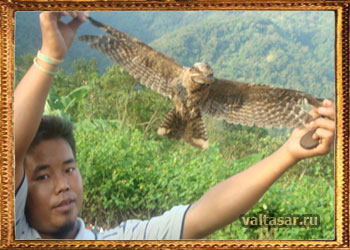 хотите поужинать птичкой?