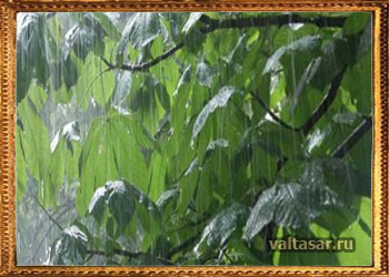 проливной дождь