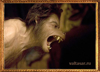 трансформация двоедушника