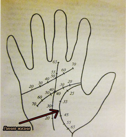 определить продолжительность жизни по руке