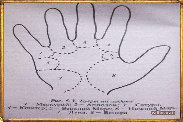 бургы в хиромантии, расположение и значение