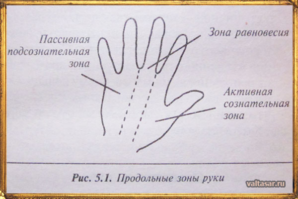 продольные зоны в хиромантии