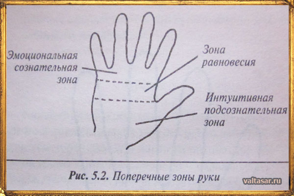 поперечные зоны в хиромантии