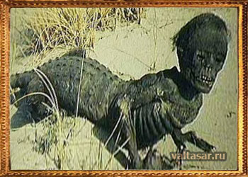 мутанты и аномалии