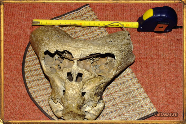 реальные фотографии НЛО