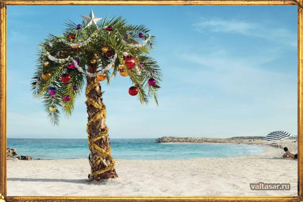Новогодняя елка в Африке
