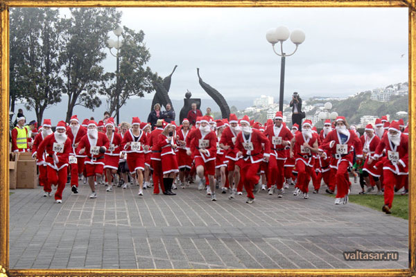 санта клаусы из Новой Зеландии