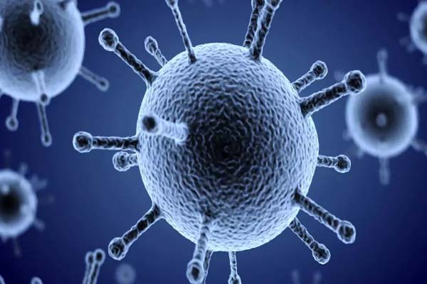 штамм бактерии рисунок