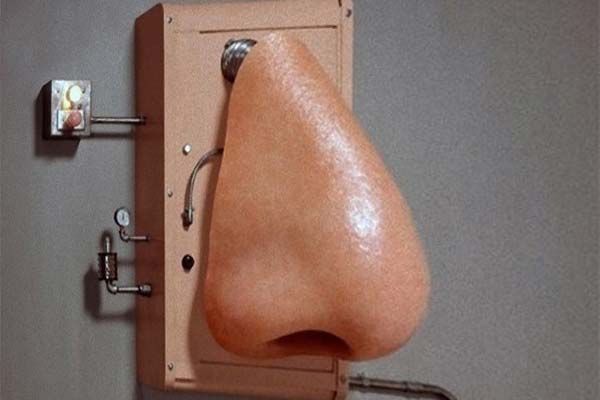 искусственный нос на стене