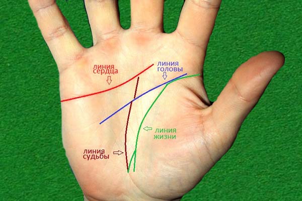 хиромантия - основные линии на руке