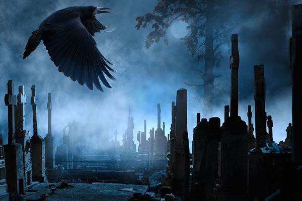 черный ворон