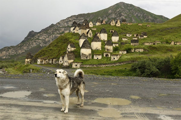Живописный некрополь