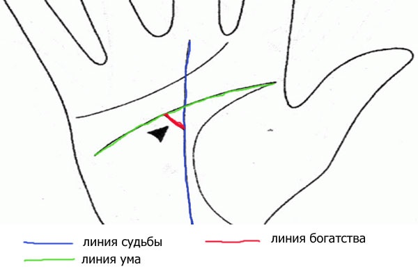 хиромантия для новичков - линия богатства