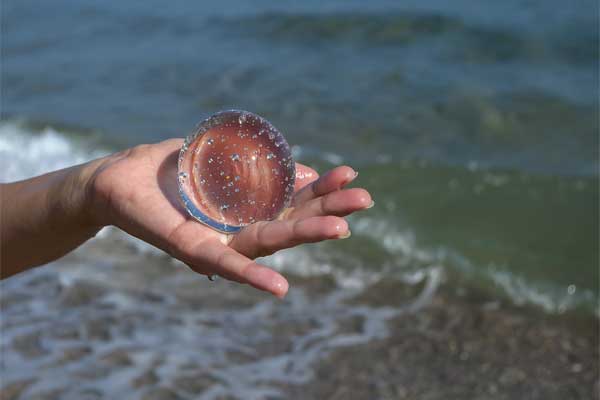 Хрустальный магический шар предсказаний на ладони фото