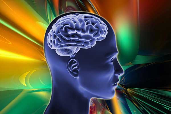 Мозг человека и его тайны