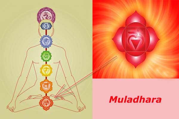 Муладхара чакра (крестцовая)