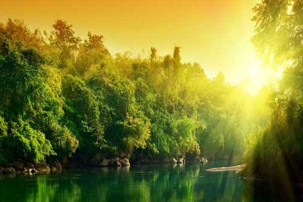 солнечный позитивный мир