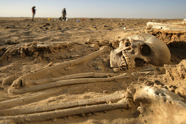 череп в пустыне