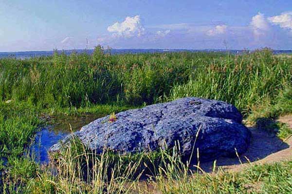 ползучий Синь-Камень