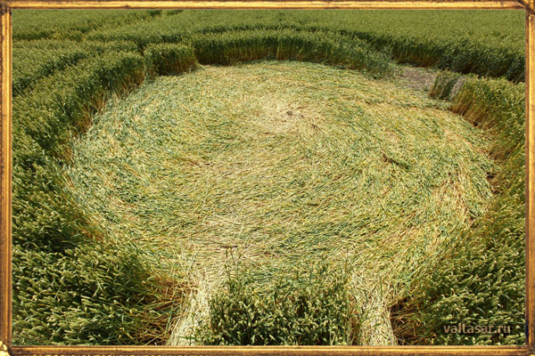 круги на полях