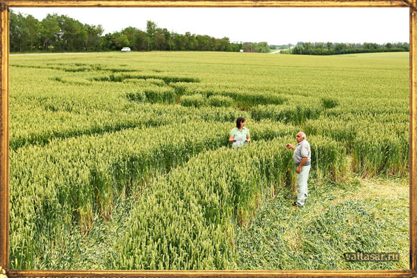 мистичекские пейзажи