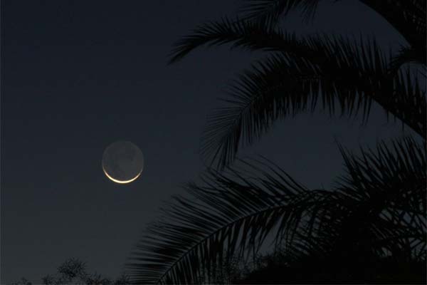 тёмная ночь, молодая Луна