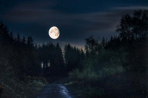 полнолуние, тёмная ночь