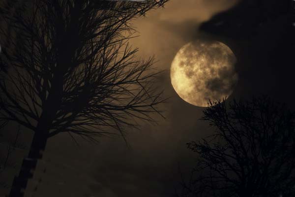 Яркая желтая Луна