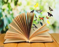 По книге