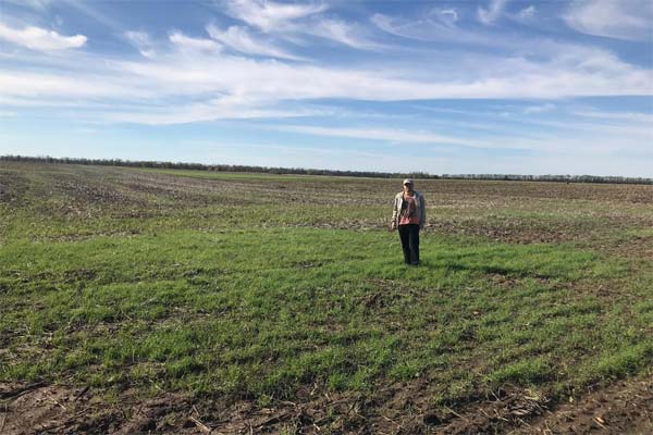 поле осенью