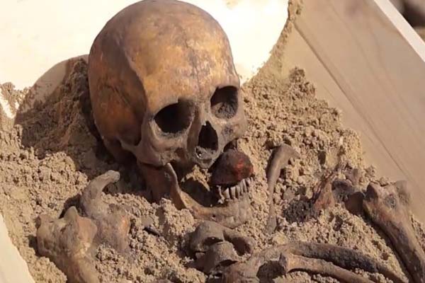 Череп с камнем в зубах