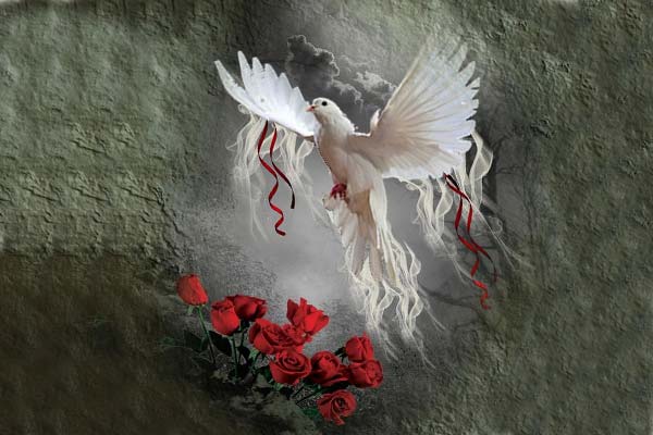 Белый голубь, мистика