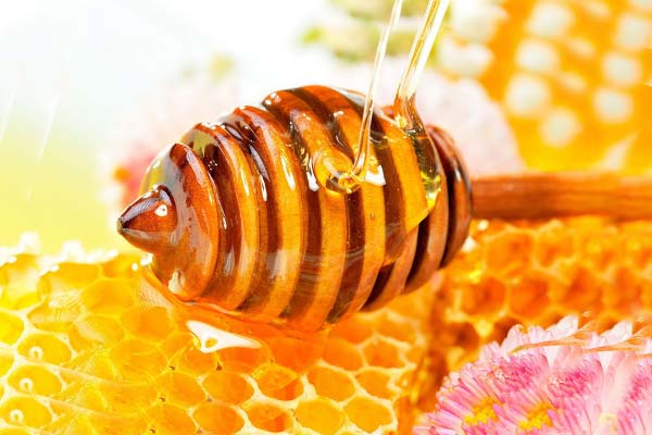 свежий мёд и соты