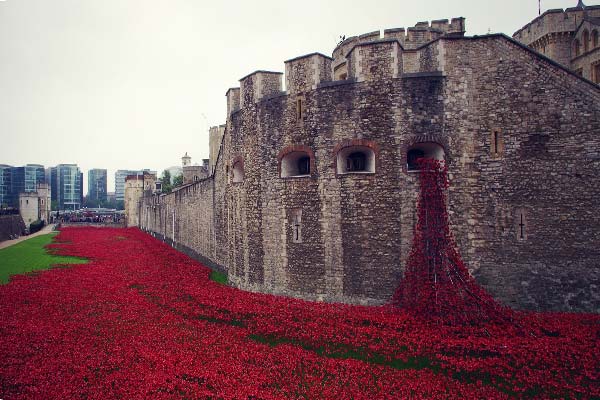 стена Тауэра украшенная цветами