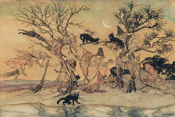 колдуны и черные коты