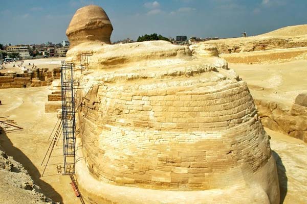 Сфинкс - вид сзади