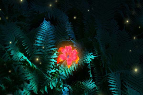 волшебный цветок папоротника