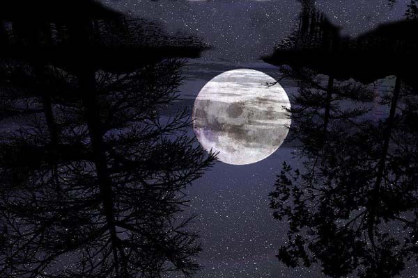 ночной пейзаж