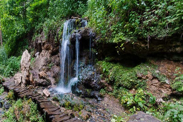 родник на фоне зеленой растительности, фото