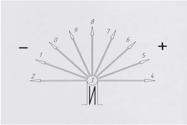 вселенское цифровое древо