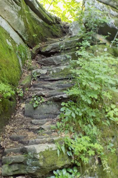 Лесо-Кефарь фотографии местности