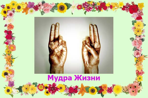 Мудра жизни фото