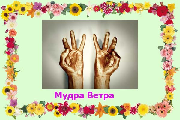 Мудра ветра фото