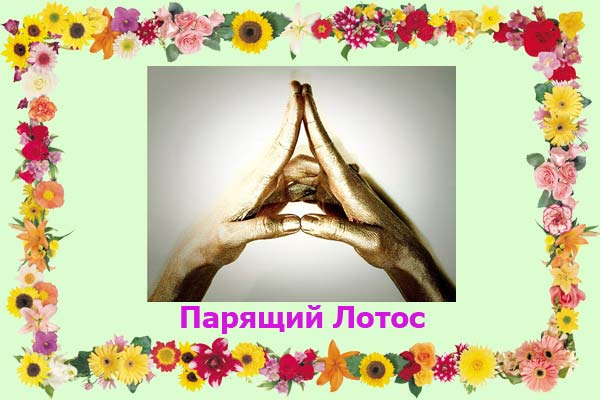 парящий Лотос - фото мудры