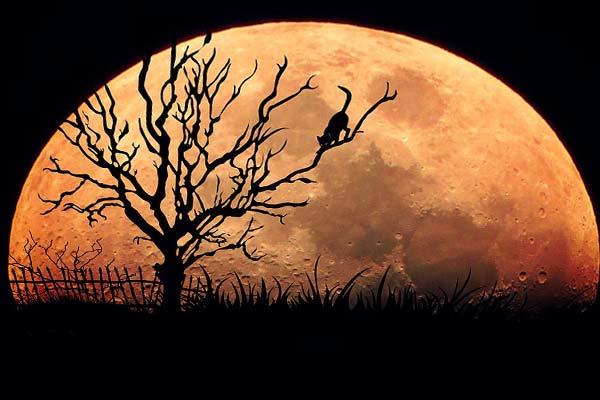 мистика новолуния в мае 2018 года