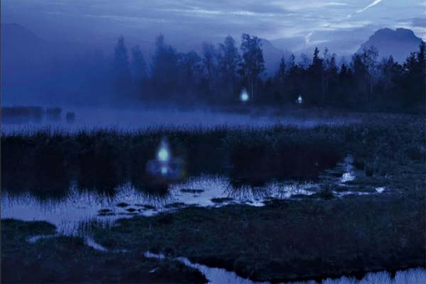 болотные огоньки