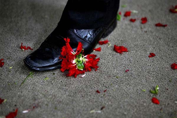 цветок, раздавленный ногой