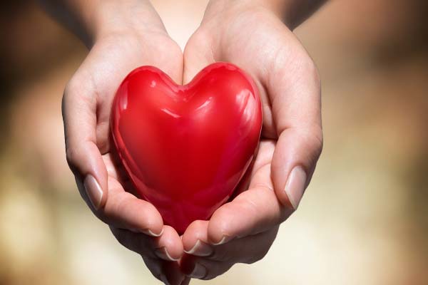 сердце в руках