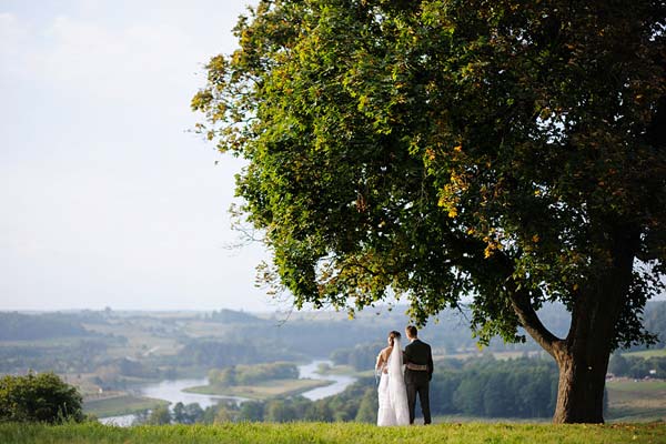 молодожёны под деревом